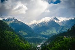 Top National Parks in India for Wildlife Safaris